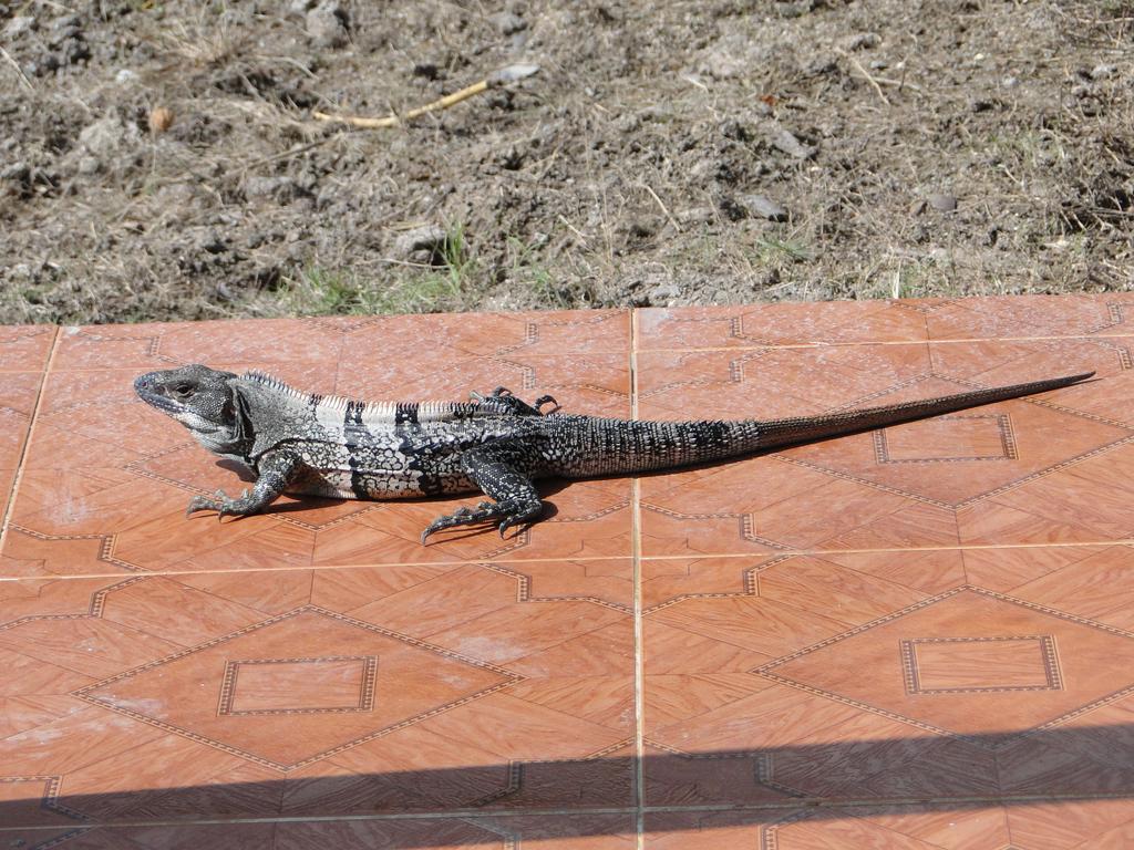 Posada Sunshine Paradise Providencia Island Экстерьер фото