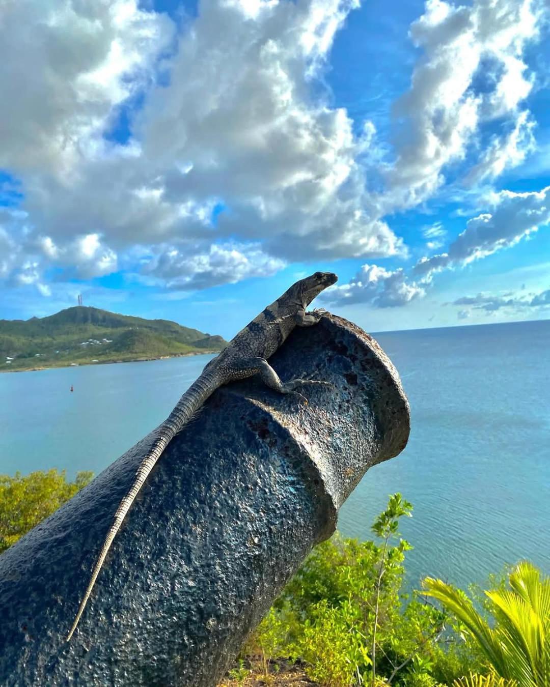 Posada Sunshine Paradise Providencia Island Экстерьер фото