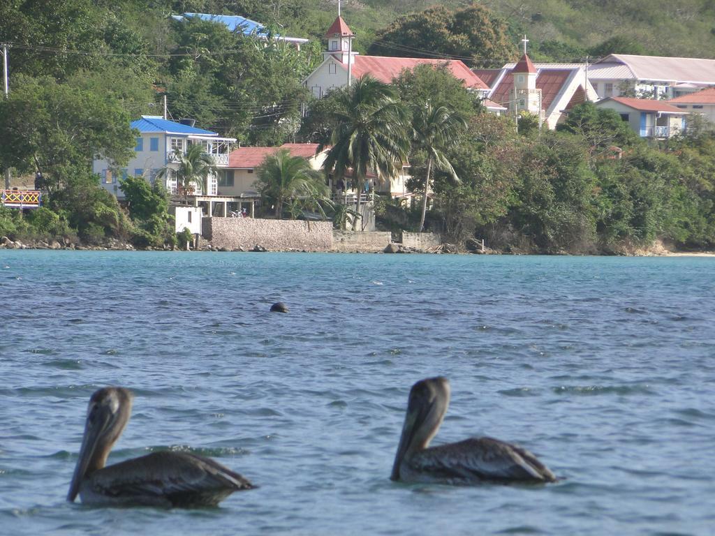 Posada Sunshine Paradise Providencia Island Экстерьер фото