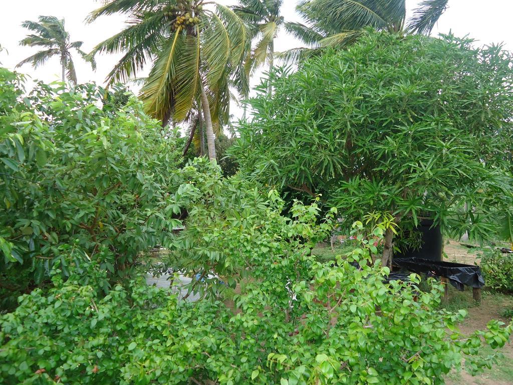 Posada Sunshine Paradise Providencia Island Экстерьер фото