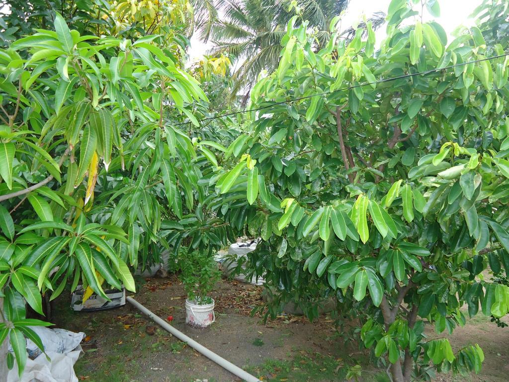Posada Sunshine Paradise Providencia Island Экстерьер фото