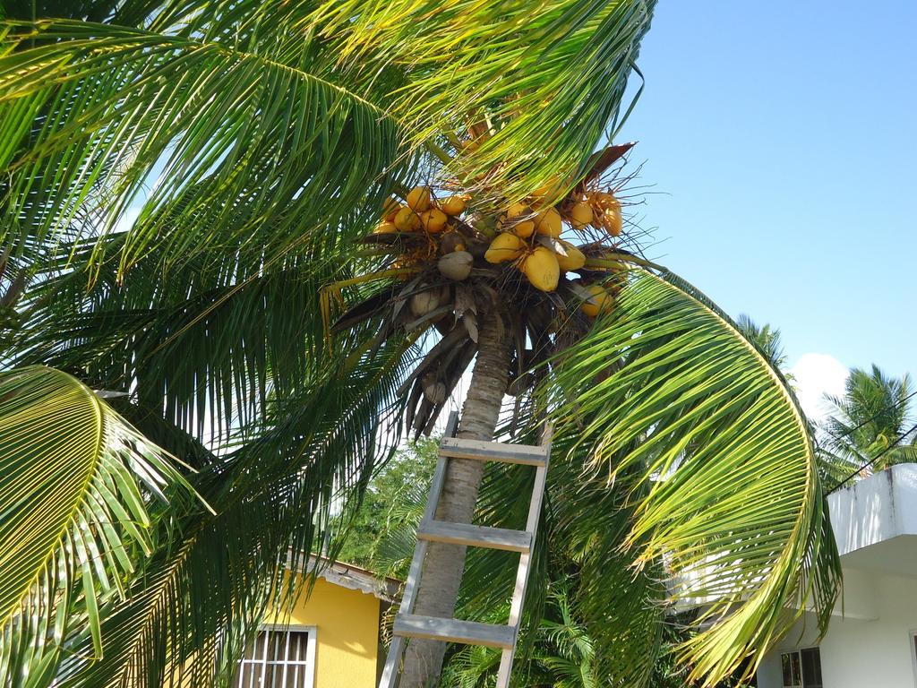 Posada Sunshine Paradise Providencia Island Экстерьер фото